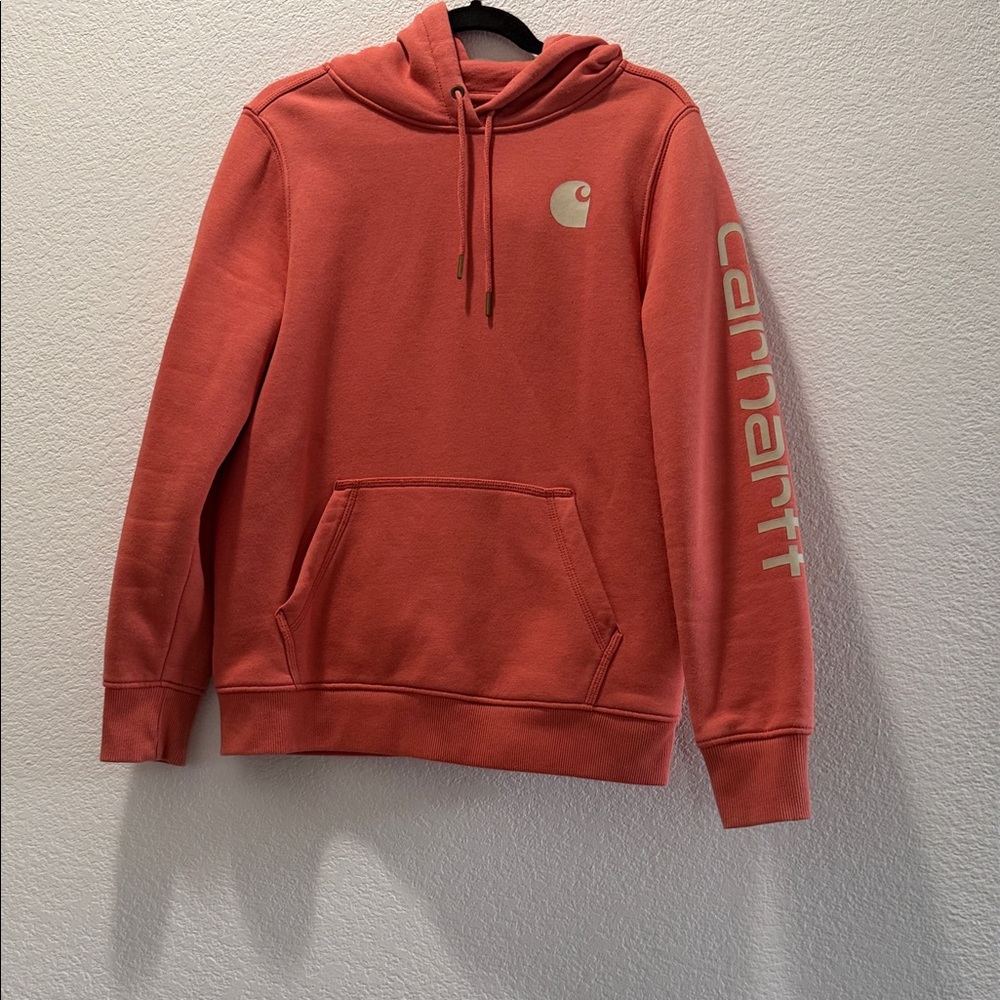 Carhartt Men's Coral Hoodie